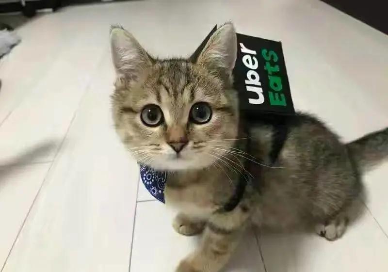 同是送外卖，日本外卖小哥为何赚得多待遇也好？