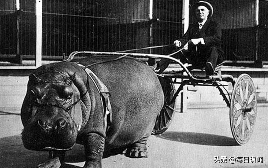 历史上这些珍贵照片，有的会让您觉得不可思议（一）