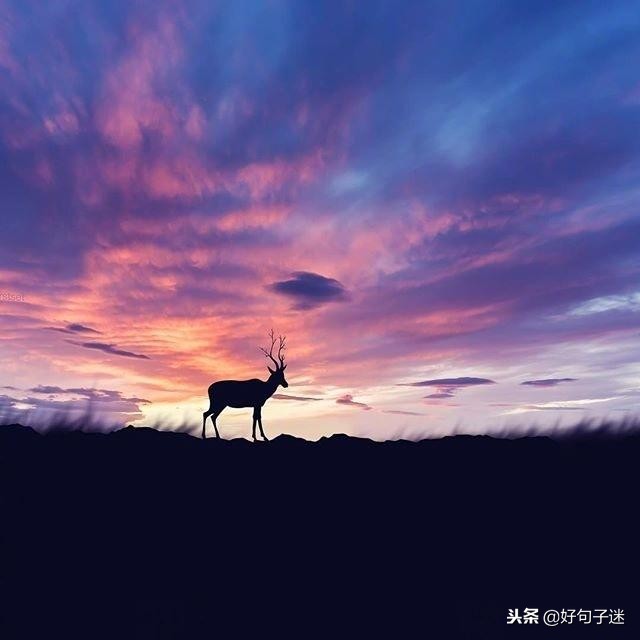 很火很赞的心灵鸡汤，经典有哲理，静下心来看看！-第2张图片-非凡网