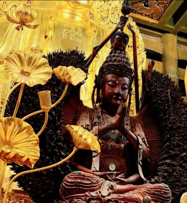 ���֪ʶ|   ��Ϊ��