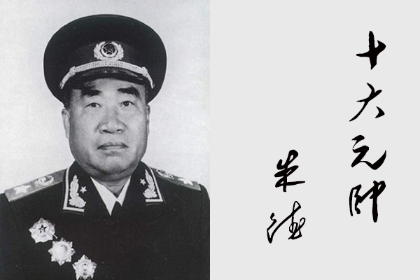 新中国十大元帅是何来历，毛主席对十大元帅有何独特点评？
