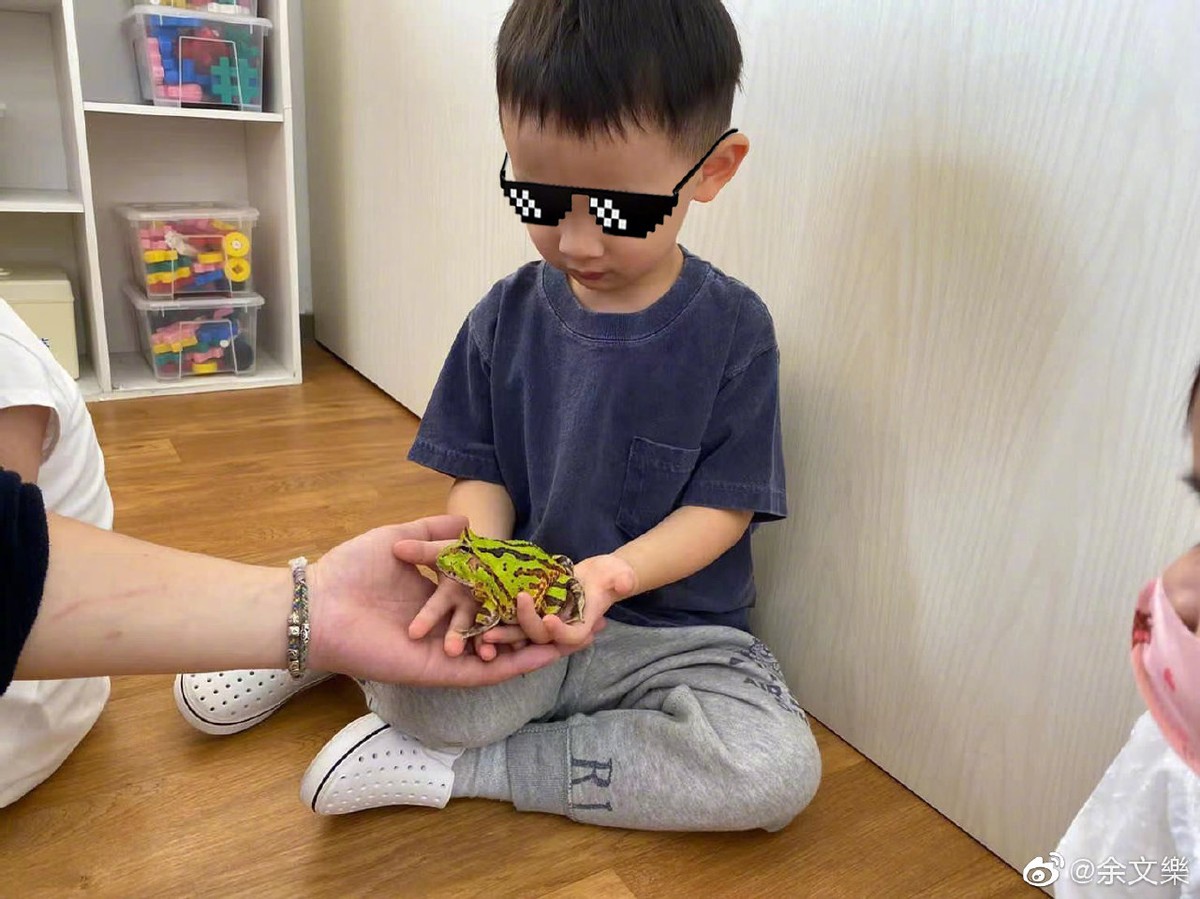 余文樂3歲兒子勇敢與蛇和青蛙接觸，小小年紀顏值高​​，帥氣會把妹