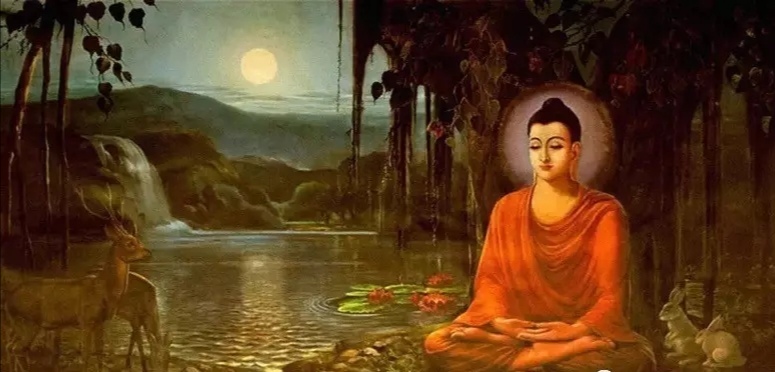 ������������ѡ�����ӵ���ѧ���̣��Ӹ��ֿ��е��������������