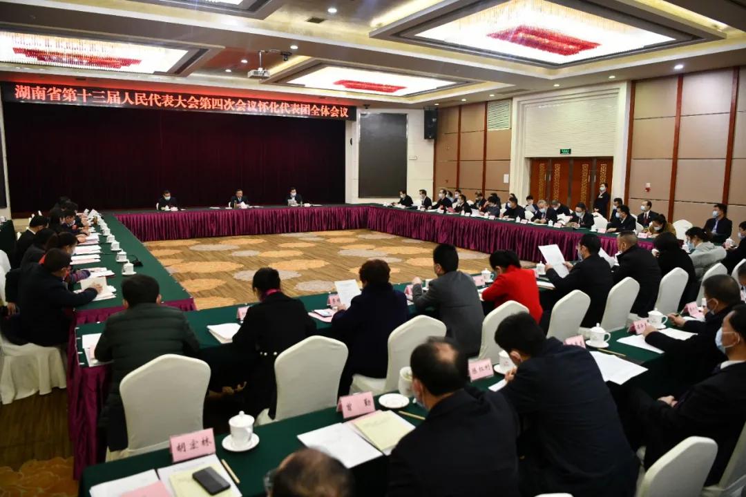怀化代表团举行全体会议 推选彭国甫为怀化代表团团长，雷绍业、石希欣为副团长