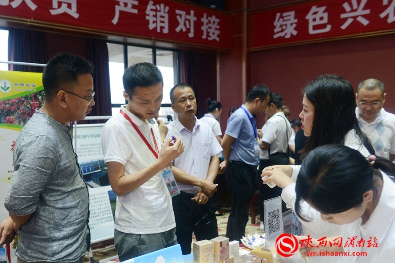 豐收合陽•最美秋色 合陽召開扶貧農(nóng)產(chǎn)品產(chǎn)銷對(duì)接會(huì)（組圖）