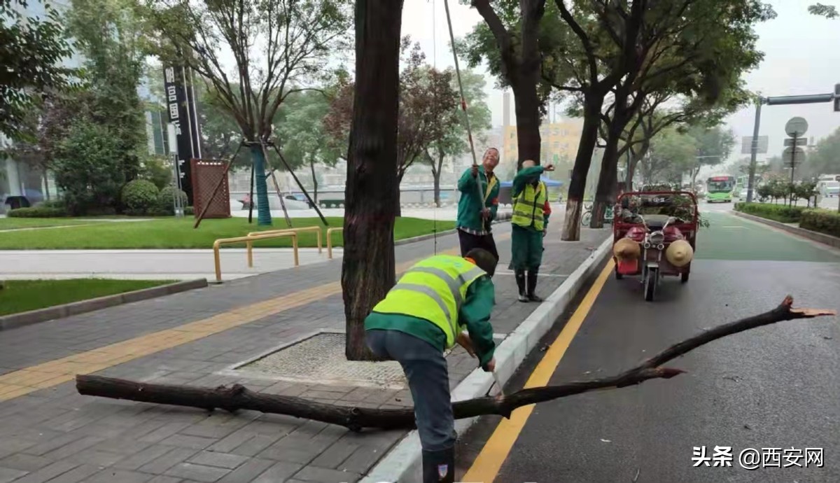 未央区全力做好十四运会马拉松赛事保障