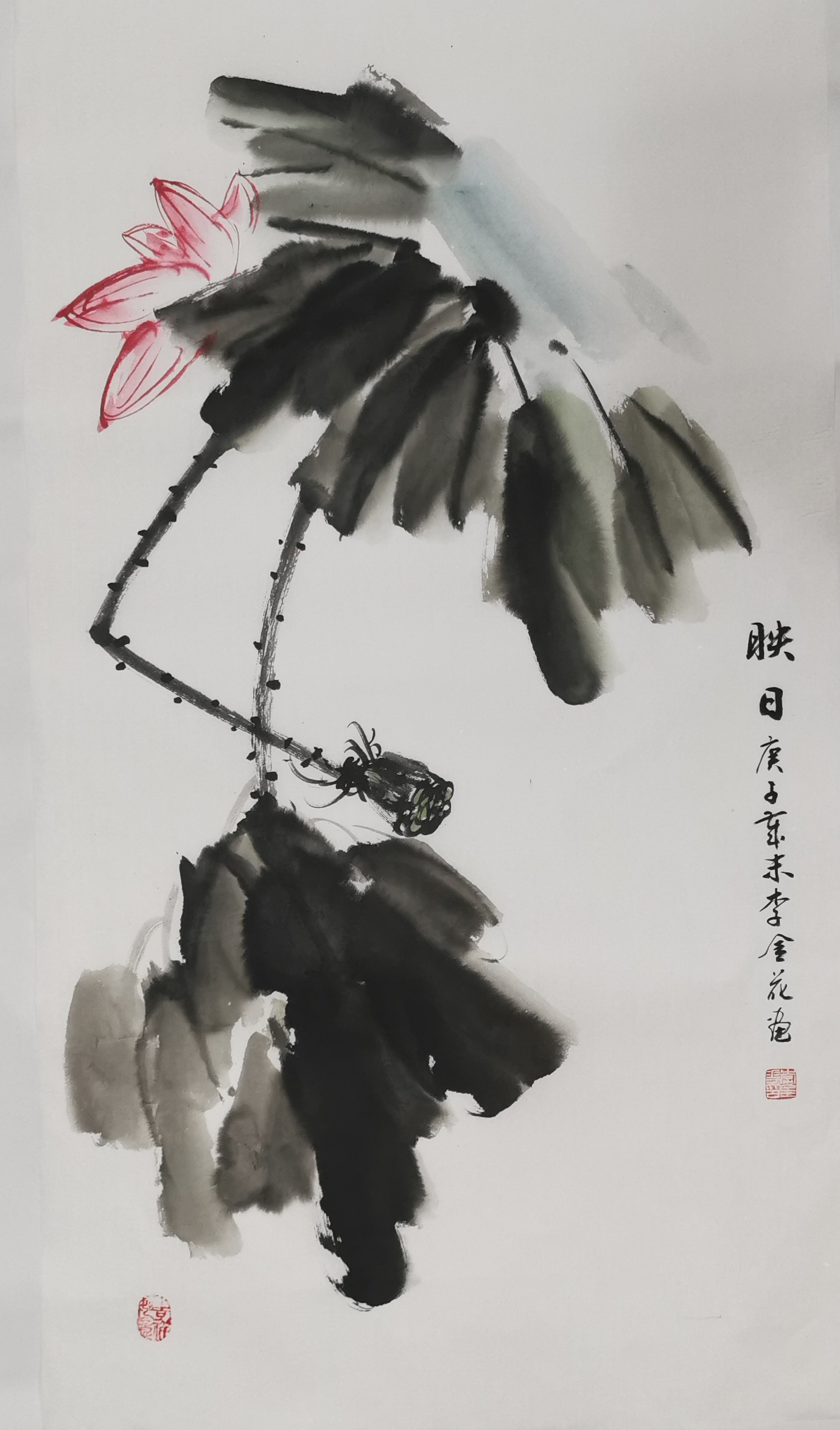 画家李金花老师作品选