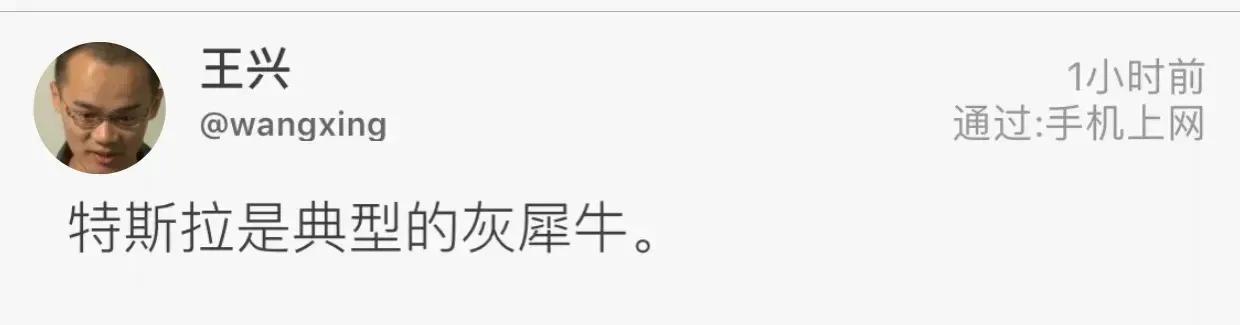 王兴说特斯拉是灰犀牛，其实未必