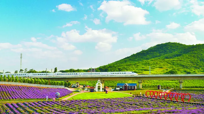 "谋划建设合肥-芜湖高速磁悬浮轨道"这场新闻发布会信息量很大
