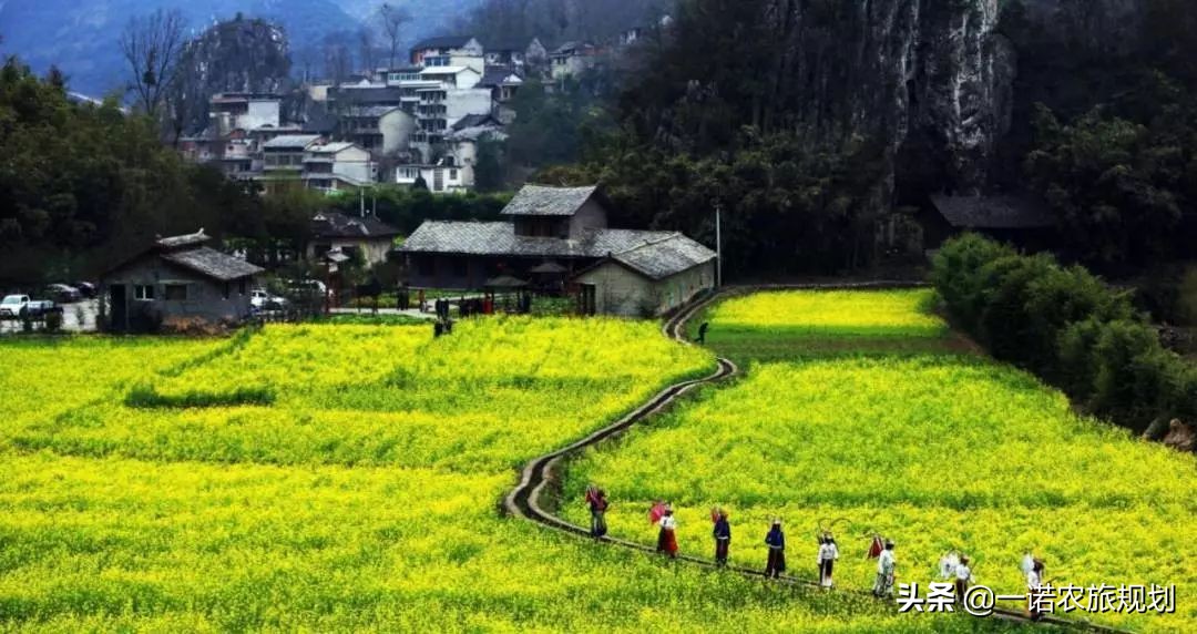 田园景观设计应注重些什么？