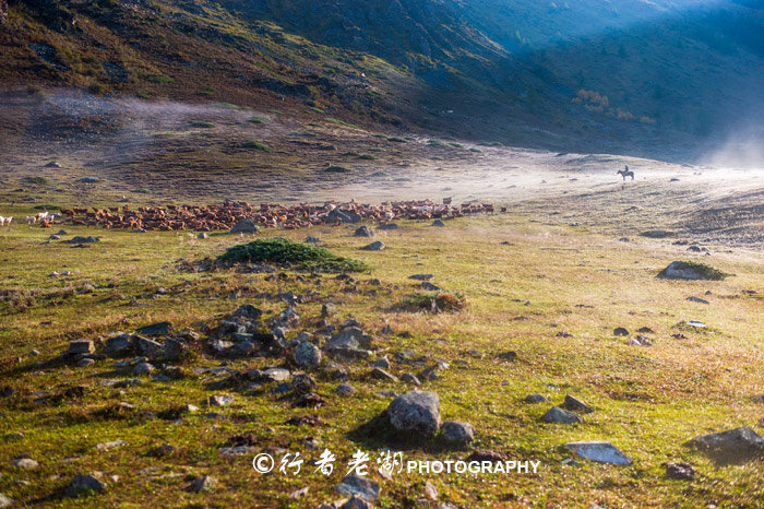 新疆旅行三次总结的攻略，拿去说走就走，北疆旅游不用愁