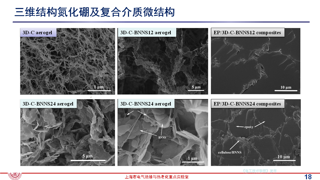 上海交通大學(xué)黃興溢教授：導(dǎo)熱絕緣復(fù)合電介質(zhì)中的界面設(shè)計與實證