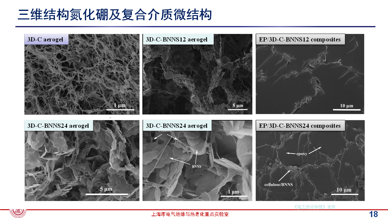 上海交通大学黄兴溢教授：导热绝缘复合电介质中的界面设计与实证