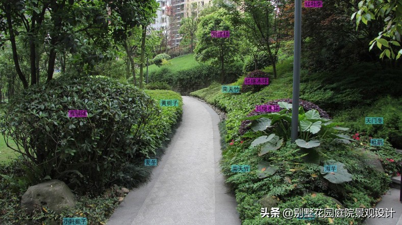 別墅庭院常用植物分享，附照片及名字標(biāo)注（珍藏版）