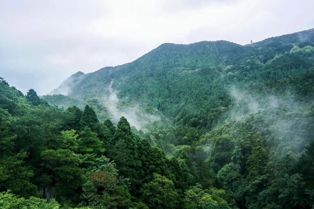 为什么南山天岳要高价造一条艺术山路？