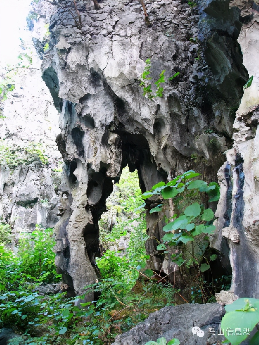 马山｜金钗石林城堡，大自然的鬼斧神工