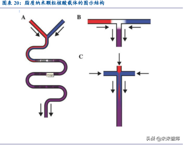 mRNA疫苗相关产业链价值分析：酶是价值链最大的一块