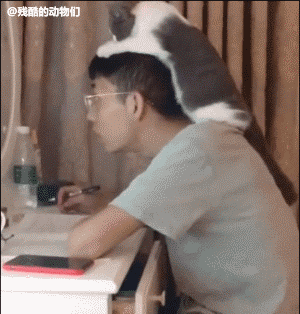 搞笑gif神评：听说男生都好羡慕这样的职业