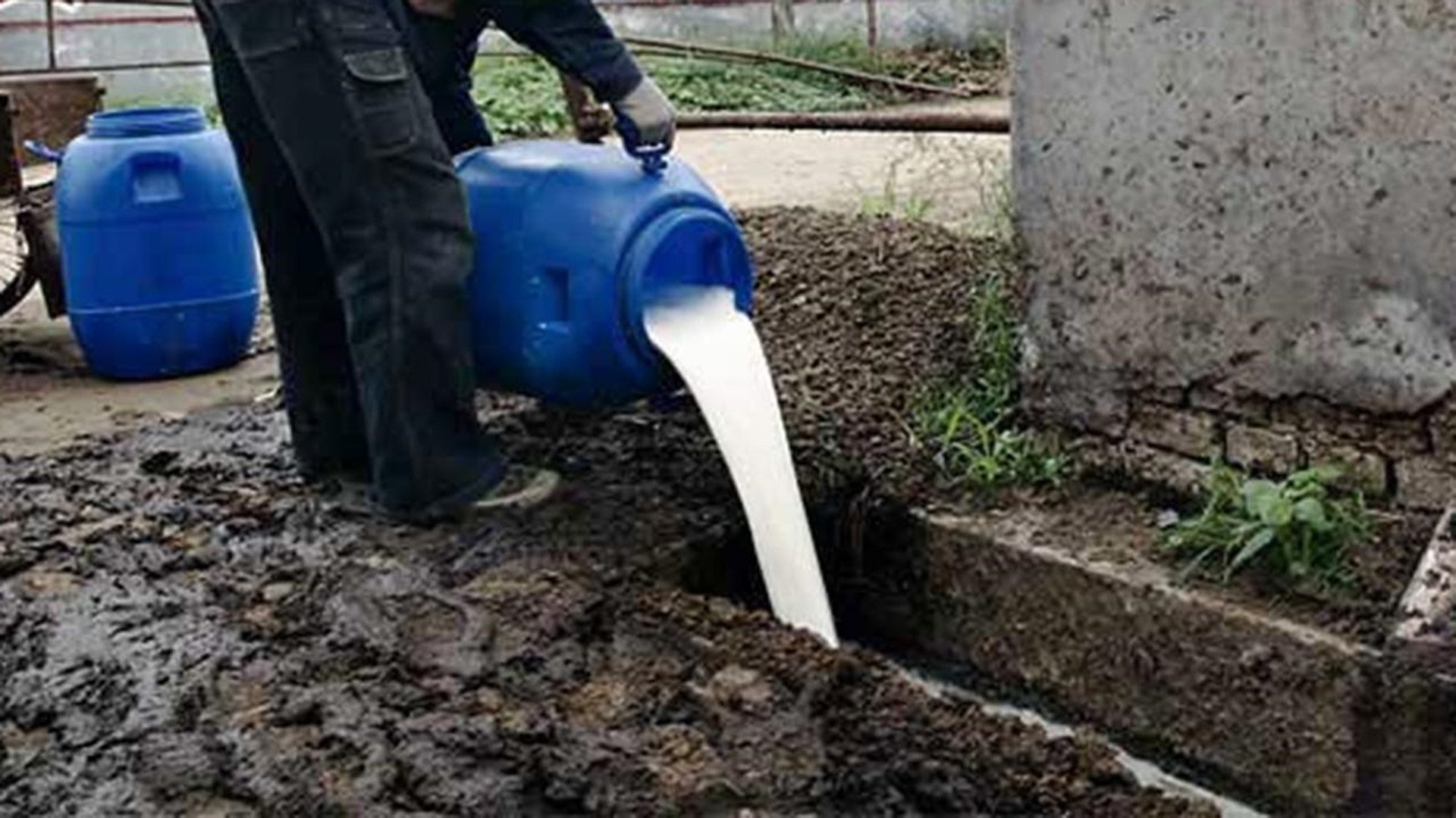 美國經濟大蕭條，資本家把牛奶倒掉也不分給窮人，為什麼？ - 資訊咖