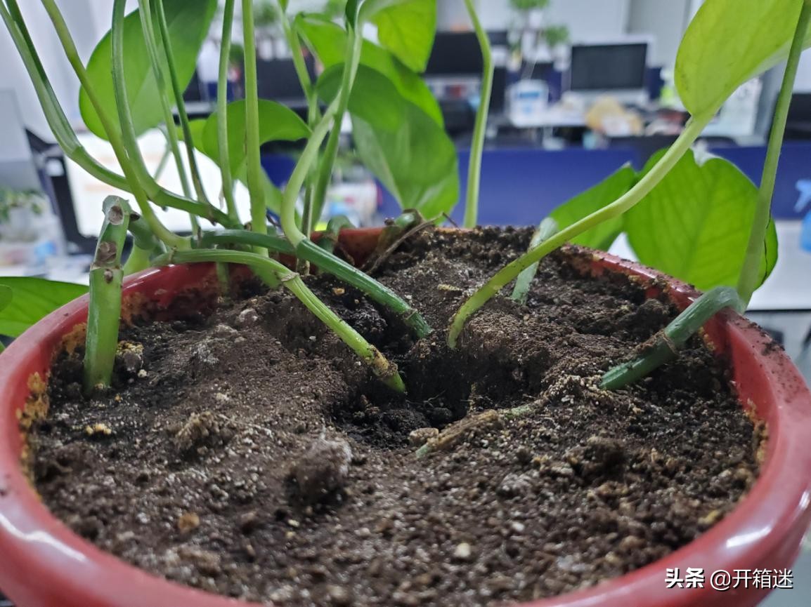 手機(jī)圈的黑馬誕生，三星Galaxy S10+深度評(píng)測(cè)