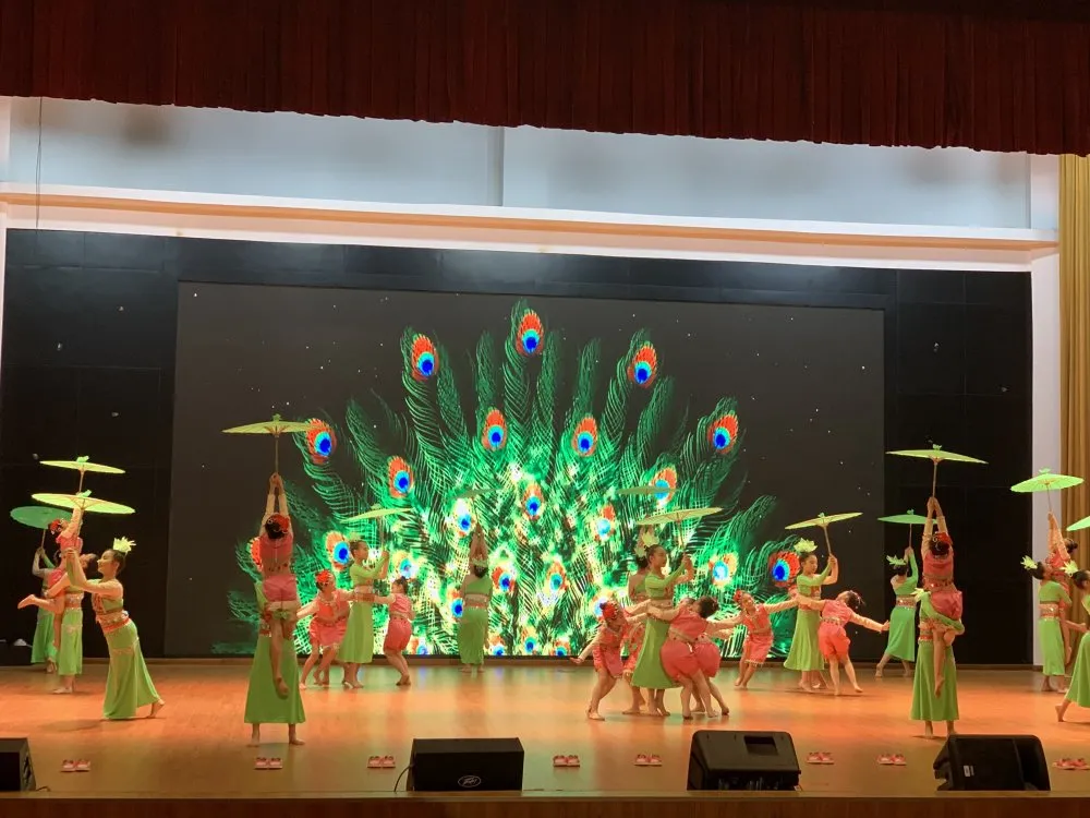 “踩雨水”踏舞步——双流区彭镇小学舞蹈社团参加区艺术节比赛