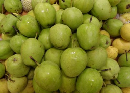 6月底新梨即将下树，收购价格是多少？