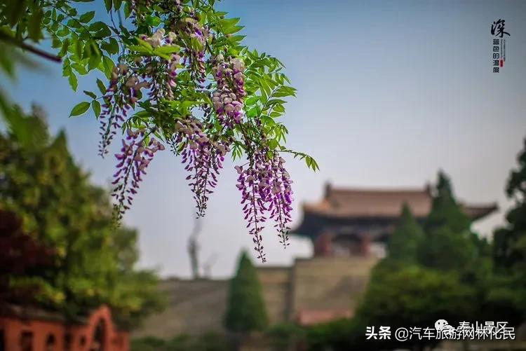 「泰安」中华泰山（含上乘观光车）一日游