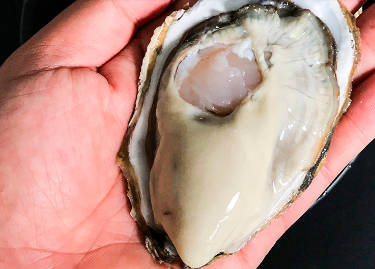 what is the black stuff inside oysters