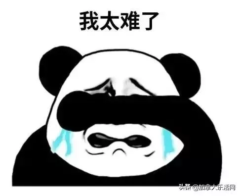 车商你的良心会痛不?一个劲的把问题甩锅给法拉利厂家,488检测记