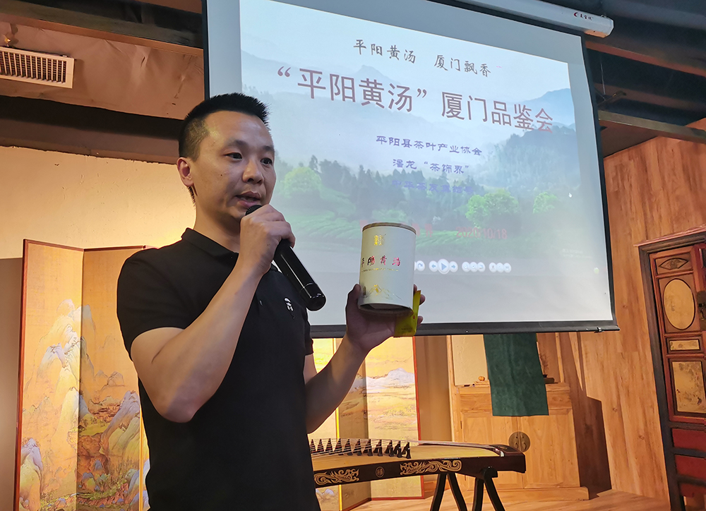 “平阳黄汤”厦门品鉴会成功举办 黄茶的柔和与纯美醉倒无数茶客