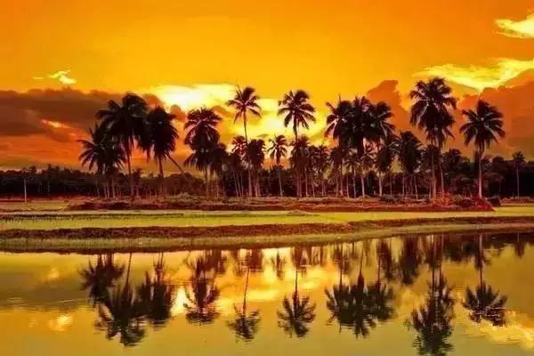 另一个角度看海南！重磅经济政策下的海南，那