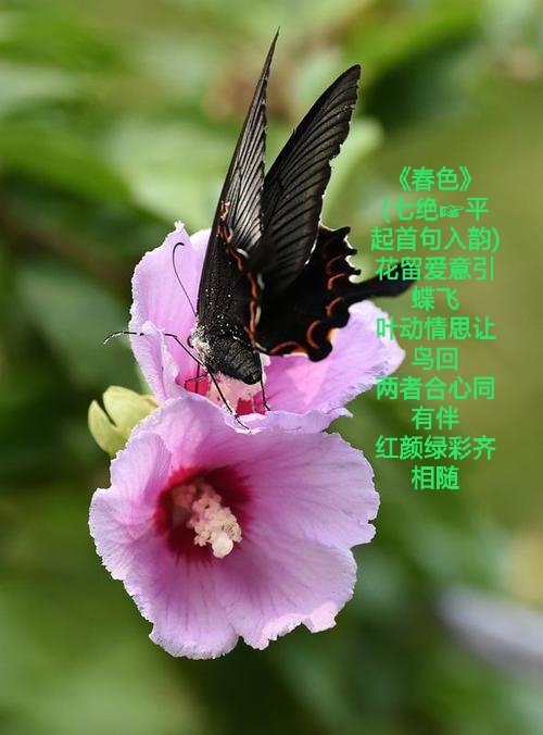 写给春天的情诗！-第3张图片-非凡网