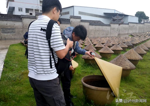 看了这些地方后 全国主流媒体记者纷纷点赞泸州脱贫攻坚成果