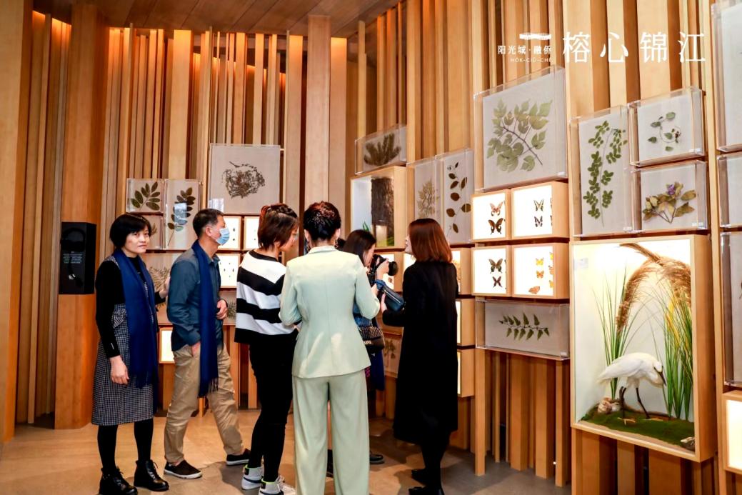 榕心锦江丨业主品质之旅，惊艳之后更见深度