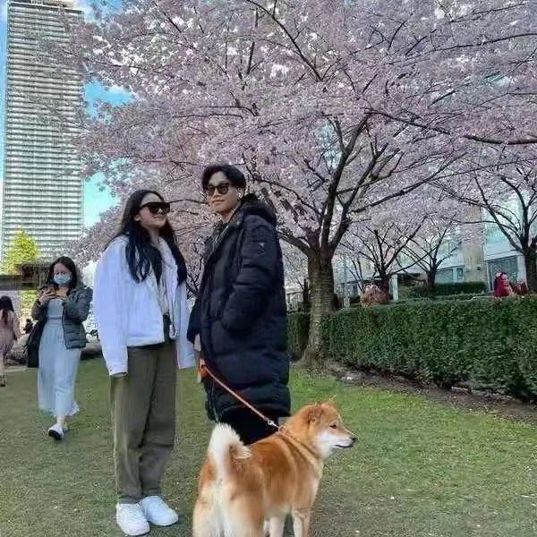 Chen Kun's son is basked in admire cherry to illuminate, with casing schoolgirl long hair waves wave Yan Zhigao, the picture raises an eye to bring amour to guess