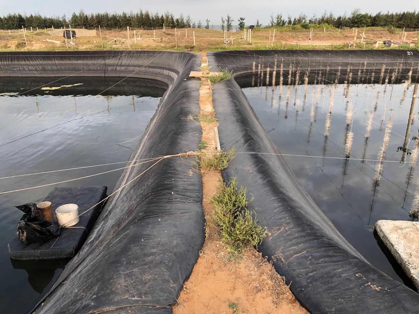 高位池水产养殖尾水处理