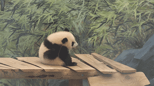 荷兰熊猫宝宝梵星的首场粉丝见面会