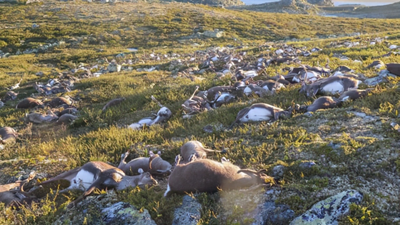 未解的谜团：传说中昆仑地狱之门，万祖之山昆仑山深处到底隐藏了什么谜团？