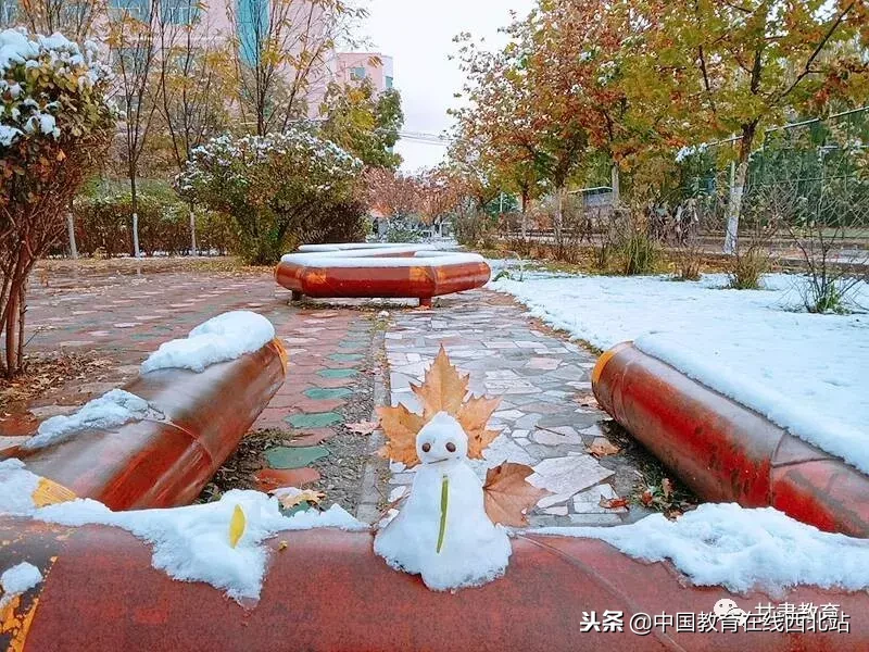 甘肃初雪|甘肃18所高校初学雪景大PK,快来看看有你的母校没?