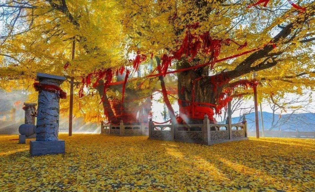 管恩锋 | 四季冬当始 新妆彩笔描（诗词十七首）-第1张图片-非凡网
