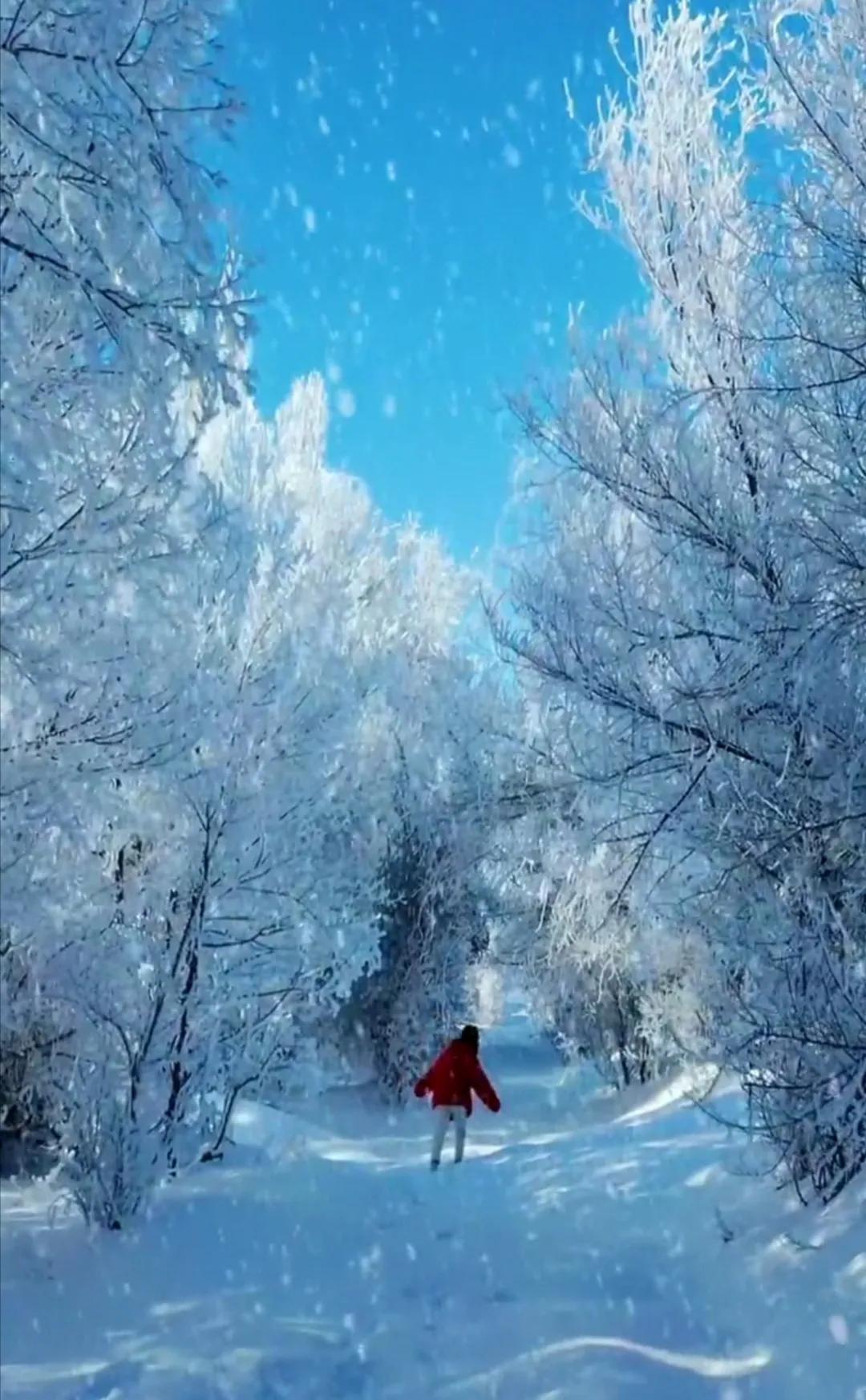 霞光大地冰雪海 雪樹冰花新色彩 資訊咖