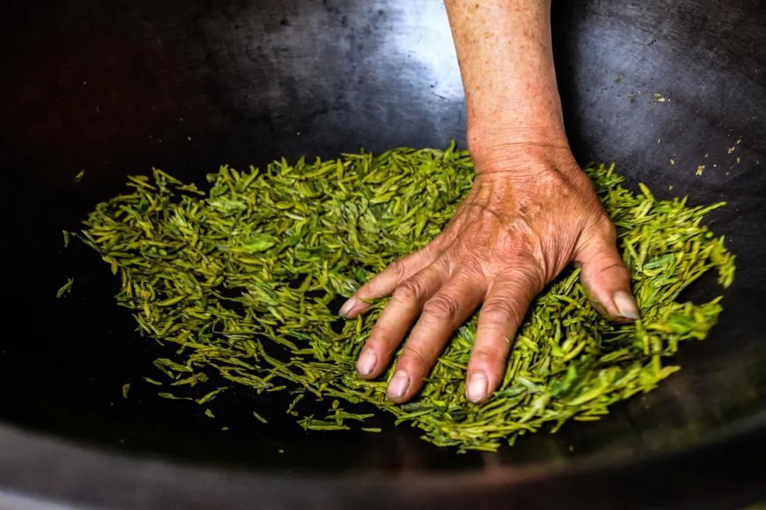 茶葉過了保質期還能喝嗎？六大茶類的保質期各是多久？