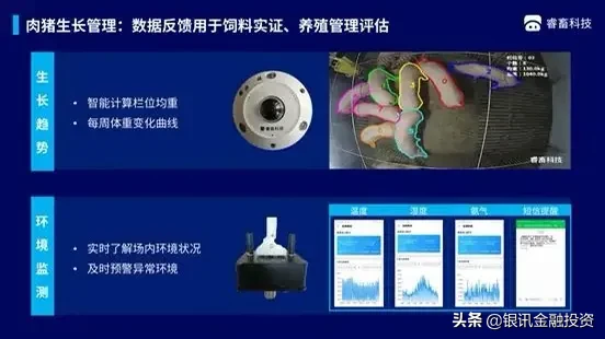 「睿畜科技」已完成A+轮融资，将深入畜牧业的供