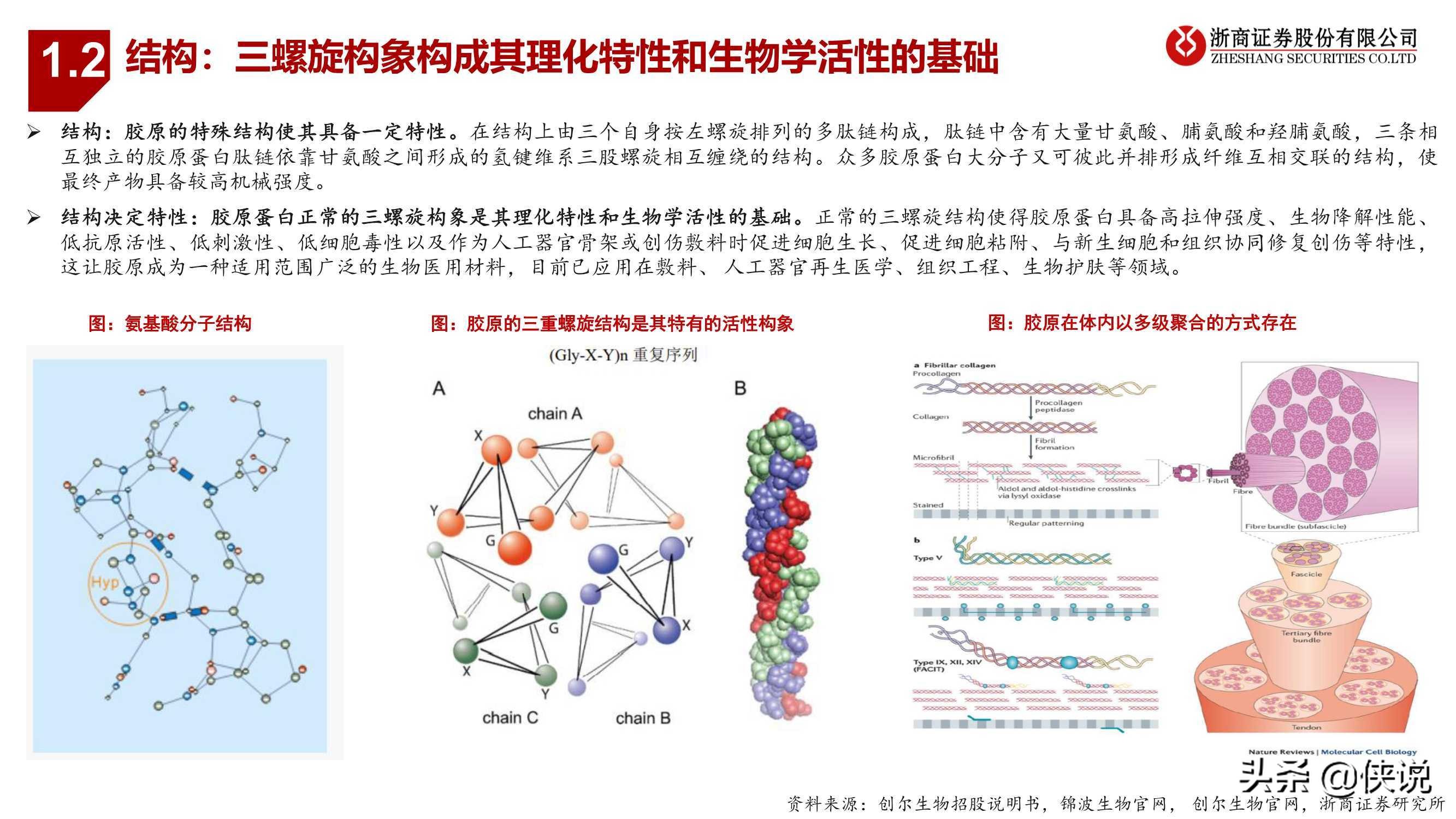 医药生物行业胶原蛋白：与玻尿酸并驾齐驱的掘金赛道（浙商证券）