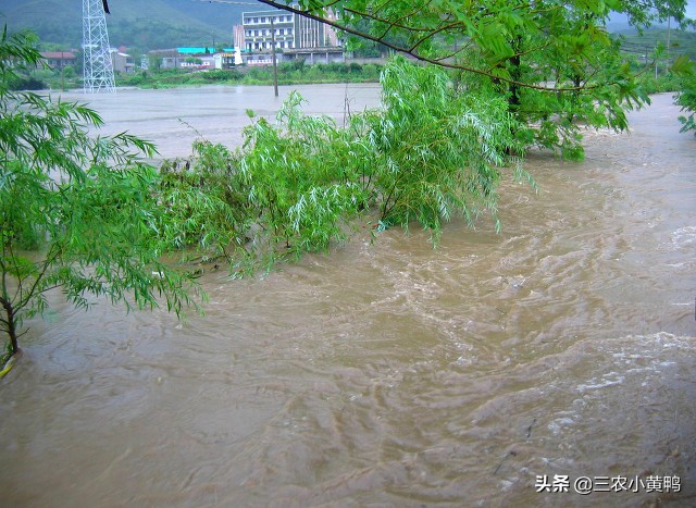 大风+雷暴+暴雨+冰雹，5月冷暖气流变化剧烈，农民：罕见，毁庄稼