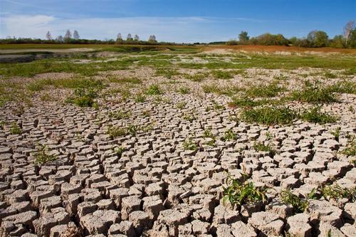 我国的淡水资源总量为28000亿立方米,占全球水资源的6%,仅次于巴西