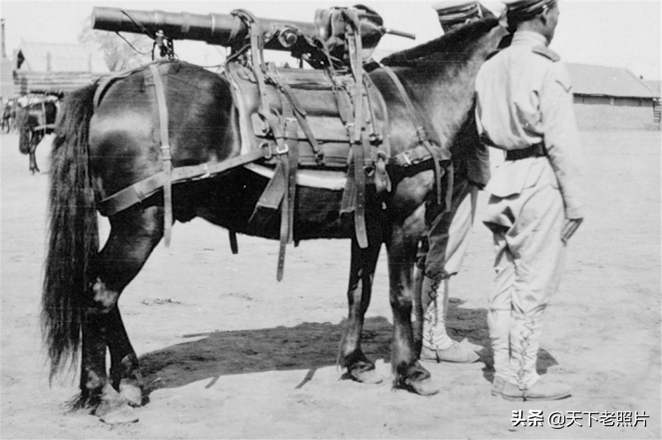 可恶！1904年日俄战争期间 占领旅顺的日军照片