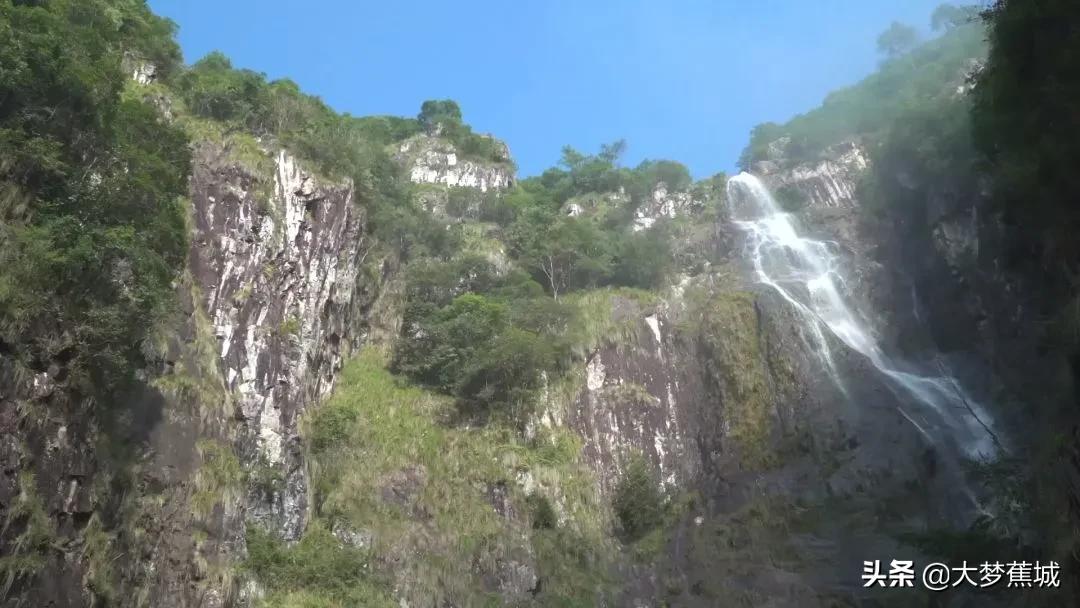 宁德天山茶：这款唐朝就有的贡茶，远销70多个国家！