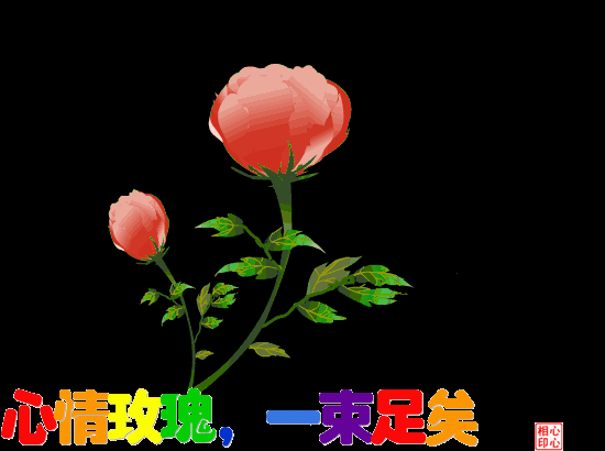 早上好图片大全 最新图片图片