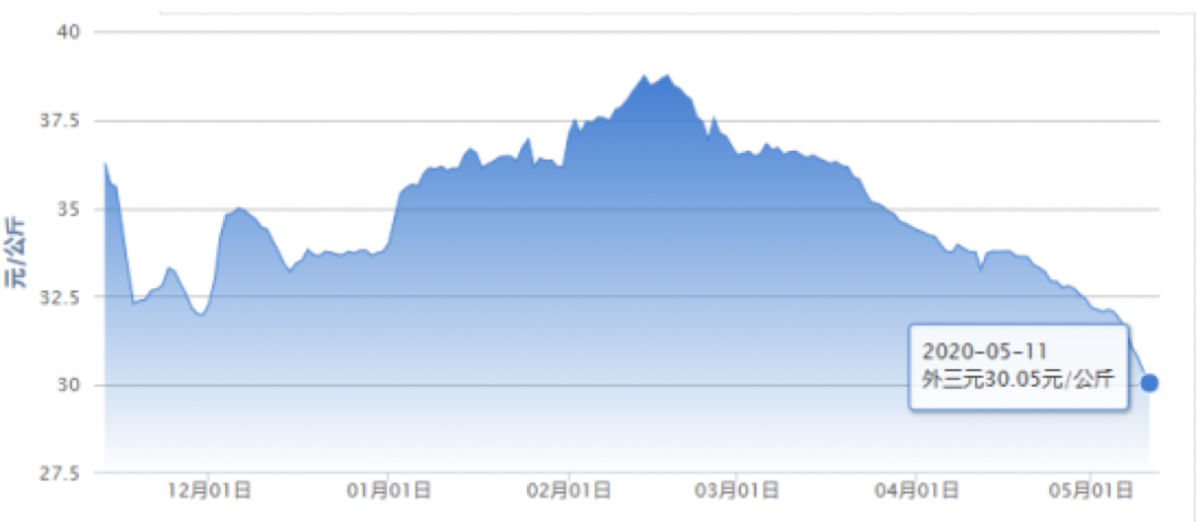养猪致富真的难！猪价连跌11周，有养殖户“恐慌